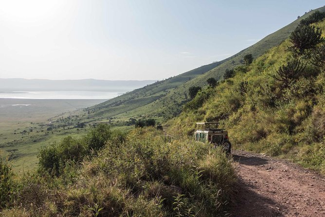1-Day Tour to Ngorongoro Crater