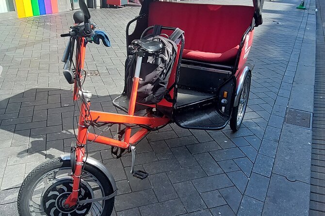 1 Hour Private Amsterdam Rickshaw Tour - Tour Capacity and Accessibility