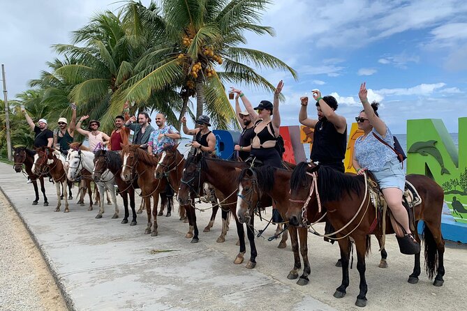 1 HR Horseback Riding + Sloths, Island Tour & Beach Break