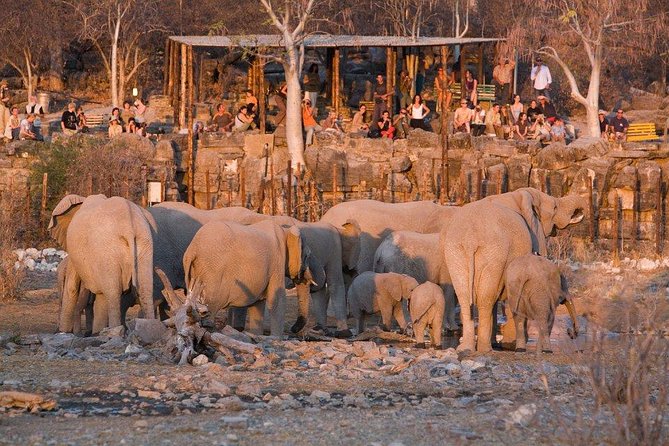 10 DAYS BEAUTY OF NAMIBIA | Private Guided Tour