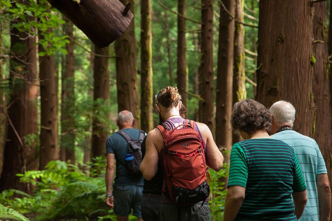 10 Volcanos Hiking Private Tour in Faial