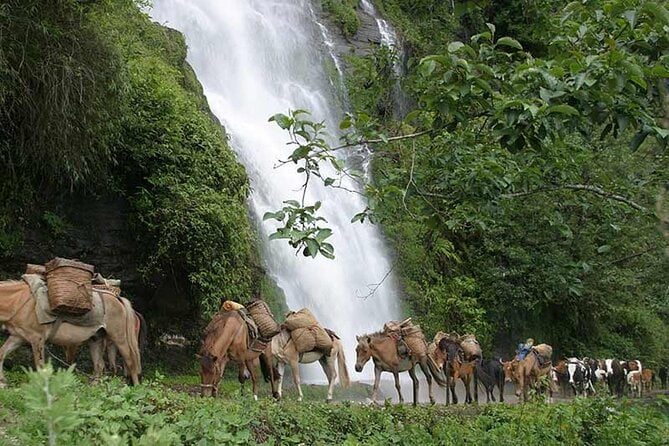 12 Days Jomolhari Trekking & Mountain Festival Tour in Bhutan