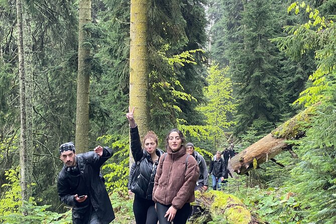 13 Km Hike in Borjomi – Group Tour From Tbilisi