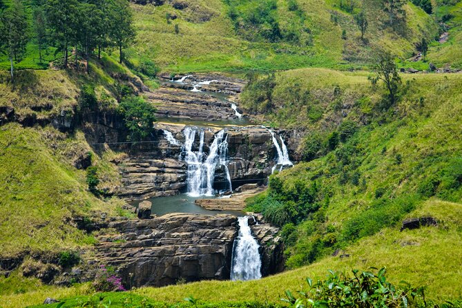 14-Day Private Tour in Sri Lanka - Overview and Company