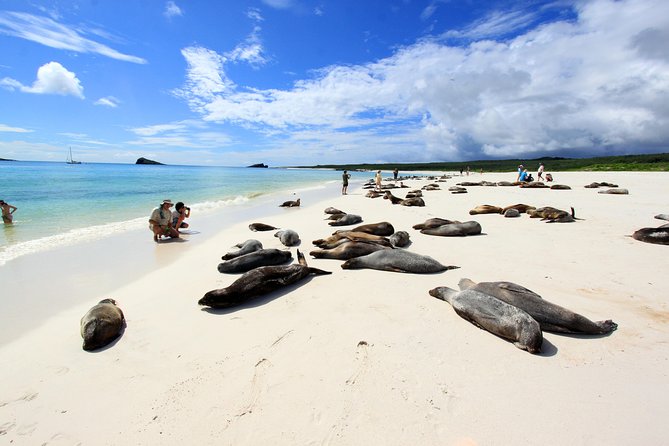 16-Day Ecuador Adventure: Andes, Amazon & Galapagos