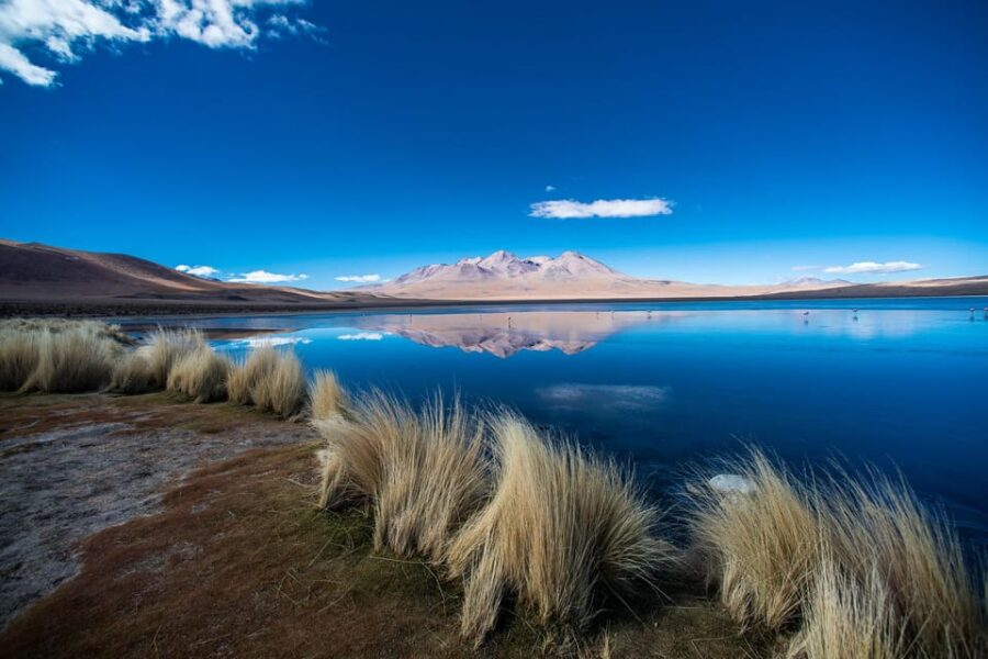 1D Laguna Colorada Private Tour From Uyuni