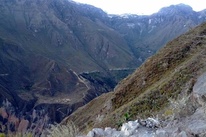 2-Day Backpacker Colca Canyon Trek From Arequipa