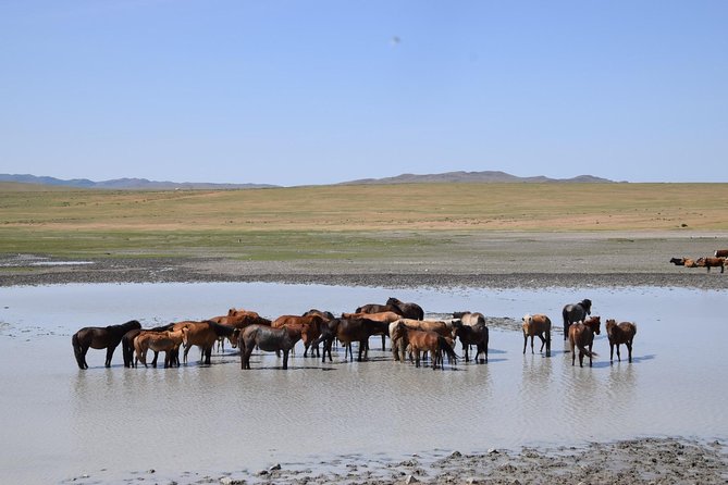 2 Day Central Mongolia