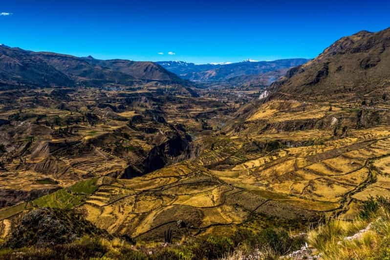 2-Day Colca Canyon Group Tour From Arequipa to Puno