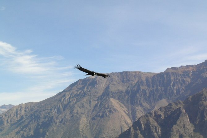 2-Day Colca Canyon Trek