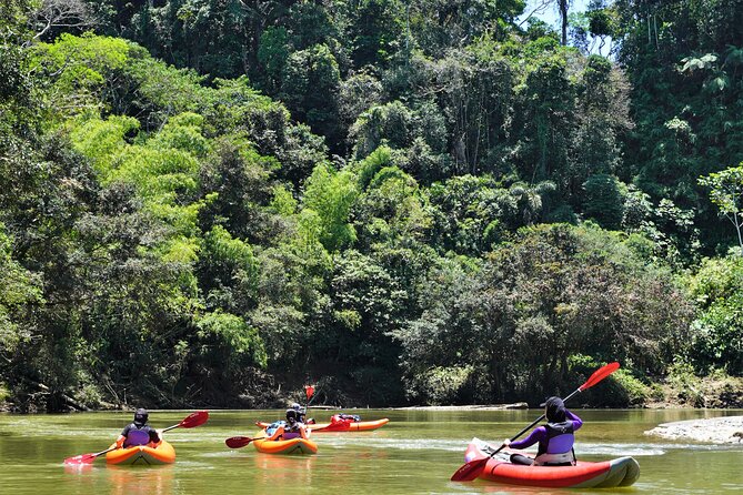 2-Day Kayaking Adventure in the Amazon - Overview of the Adventure