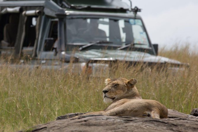 2-Day Maasai Mara Safari