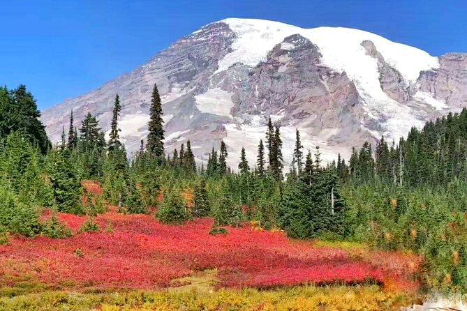 3 Best 2 Day Tours In Seattle