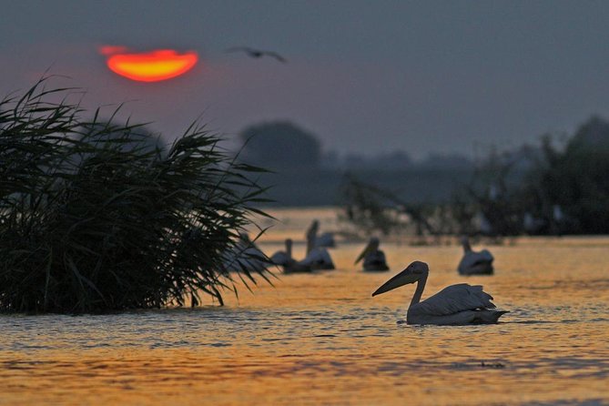 2-Day Private Tour of Danube Delta From Bucharest - Pickup and Schedule