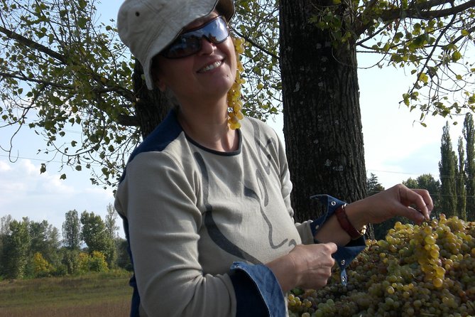 2-Day Private Wine Tour to Kakheti From Tbilisi