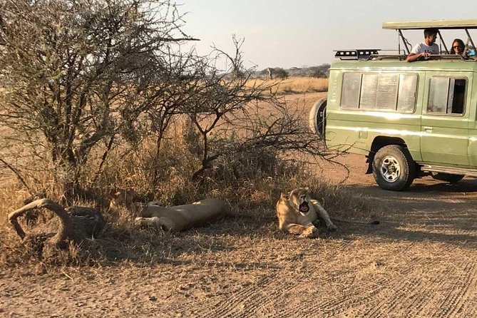 2 Days Africa Safari - Included Amenities