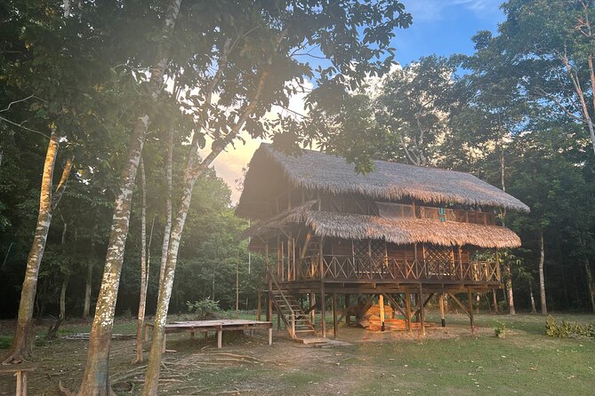 2 Days Amazon Jungle Overnight at Tarapoto Lake - Wildlife Encounters