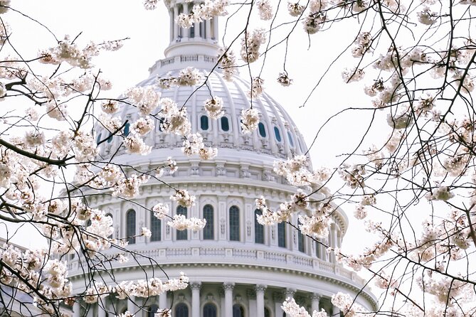 2 Days Amish Country and Washington DC - Exploring Washington DC
