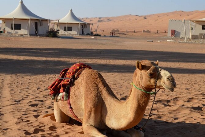2 Days Desert Adventure Package
