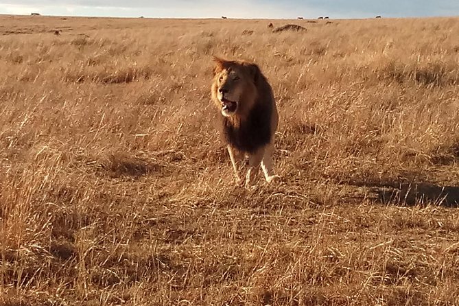 2 Days Lake Nakuru N/P