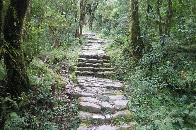 2 Days Panchase Hill Trekking - Trek Overview
