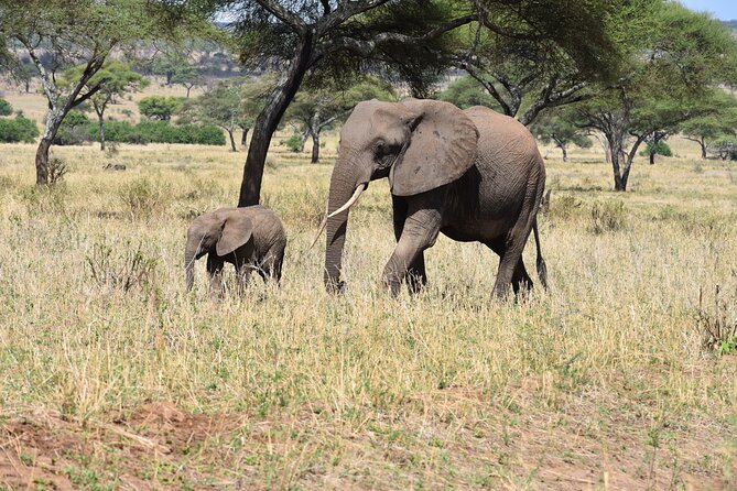 2-Days Private The Ultimate Tanzania Safari Tour - Tour Overview