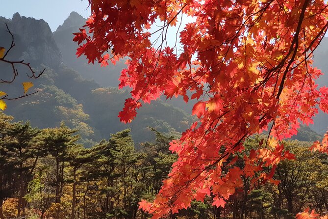 2 Days Private Tour : Mt Seorak & Naksansa Temple & Nami Island From Seoul - Tour Overview and Highlights