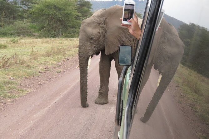 2 Days Tarangire and Ngorongoro Crater Tour - Tour Overview