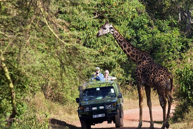 2 Days Tarangire & Ngorongoro Budget Mid-range Camping Safari Tour Tanzania - Tour Overview