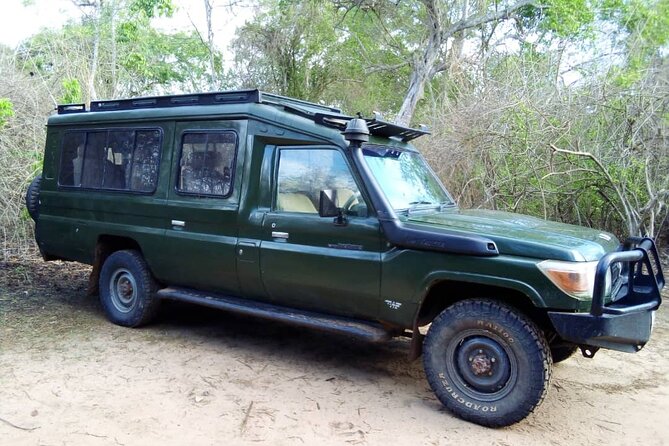 2 Days Tour From Zanzibar to Nyerere National Park (Selous GR)