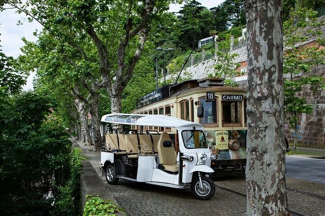 2 Hour Discover Gaia on a Private Eco-Friendly Tuk Tuk Tour