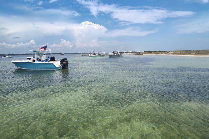 2-Hour Private Dolphin Sightseeing Adventure - Activity Overview