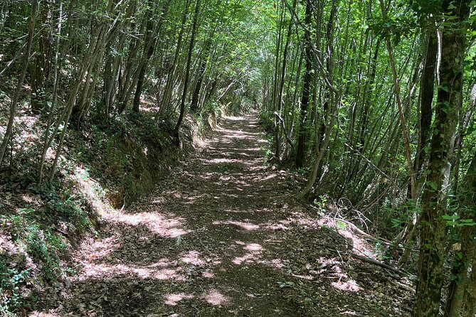 2-Hour Private Quad Tour in Spoleto
