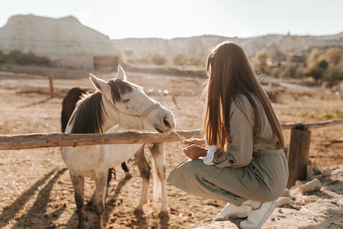 2 Hours Horse Riding Tour in Red and Rose Valley