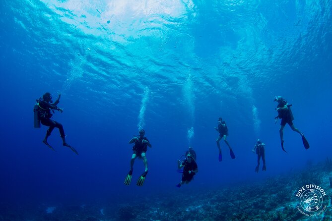 2 Best Cruises And Boat Tours In Willemstad