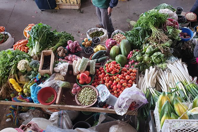 21 Day Ecuador Tour in Andean Jungle and Cloud Forest