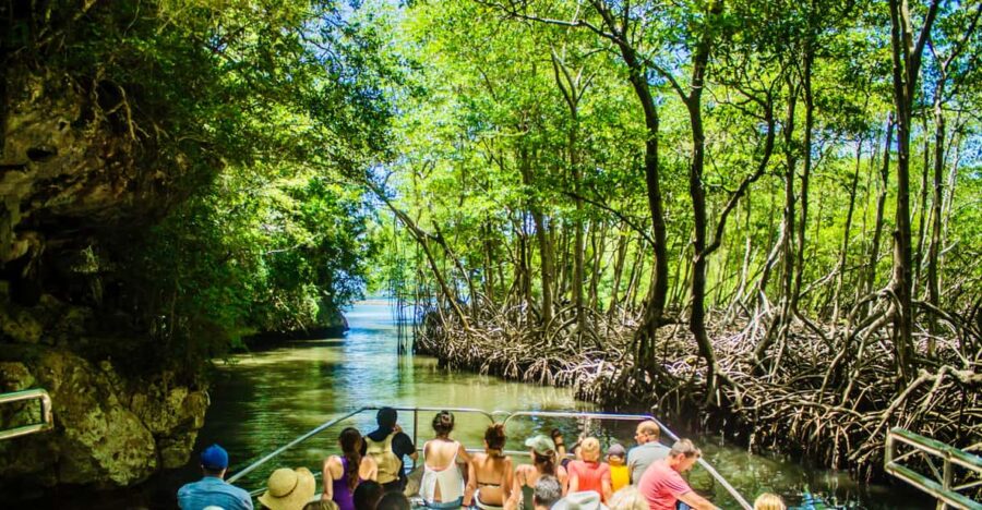 2in1: Los Haitises National Park + Yanigua Waterfall-SPA