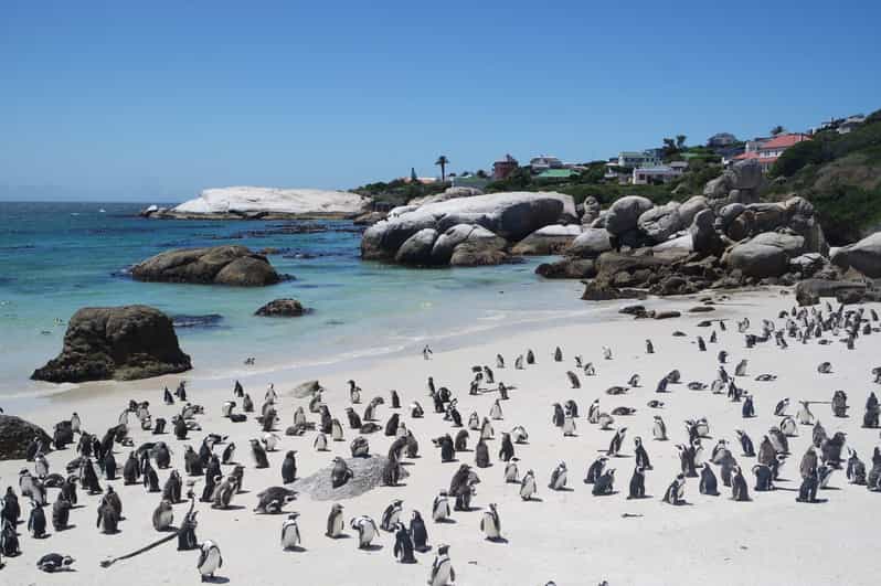 3-Day Private Guided Tour to Cape Towns Top Attractions