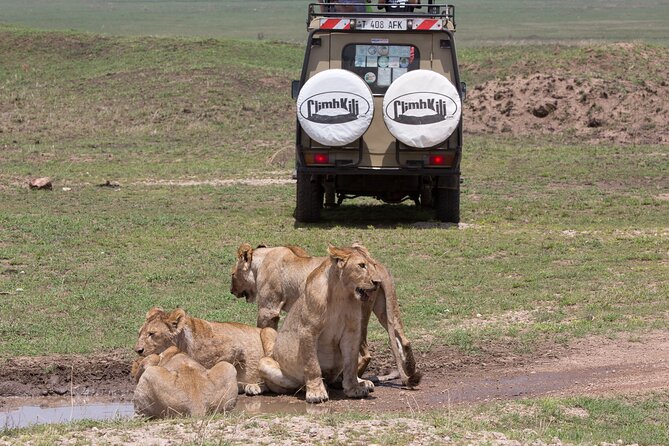 3 Day Private Serengeti Safari Tour With One Way Flight