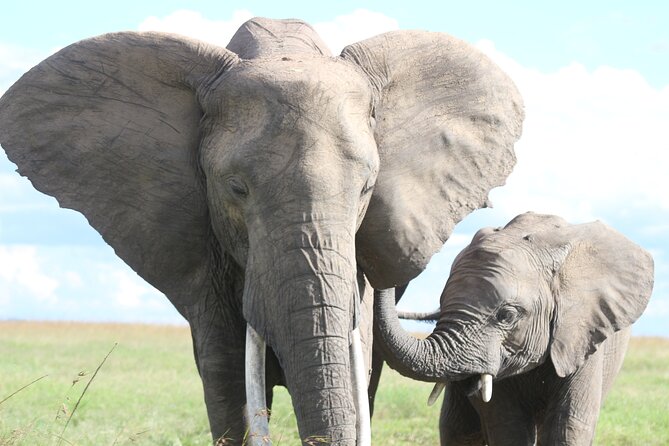 3-Day Sweetwaters: Ol Pejeta Conservancy Safari From Nairobi
