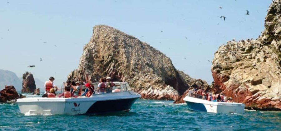 3 Best 3 Day Tours In Paracas