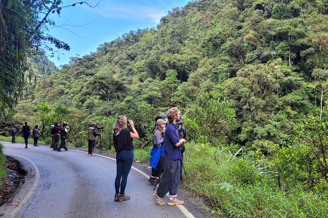 3 Days Amazon Jungle Tour in Manu Peru - Highlights of the Jungle