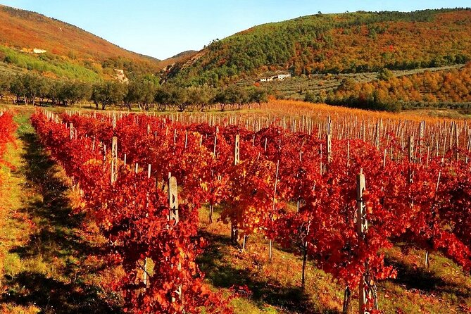 3 Days Best of Tuscany Private Tour - Explore Iconic Florentine Landmarks