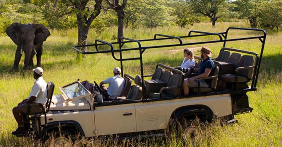 3 Days Big 5 Kruger National Park Safari From Johannesburg