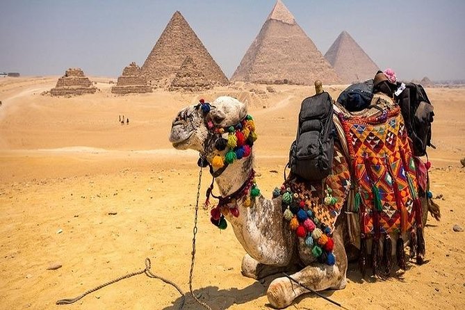 3 Days Cairo and Alexandria Tours Including the Entrance Fees - Tour Overview