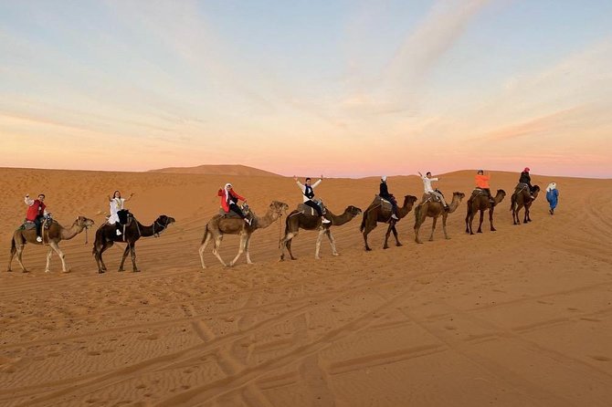 3 Days: Desert Tour From Fes to Marrakech - Nomad Camp & Camel Trek - Pickup and Departure Details