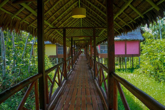 3-Days Iquitos Amazon Jungle Tour at Premium Lodge