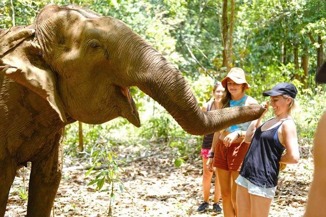 3 Best 3 Day Tours In Phnom Penh