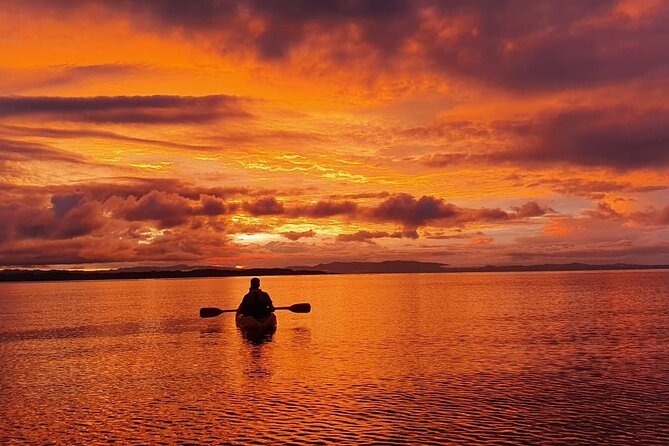 3 Days Kayak & Camping Excursionon in Golfo Dulce