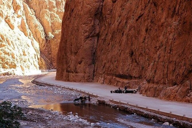 3 Days Marrakech Desert Tour, Luxury Camp, Camel Trekking Tour